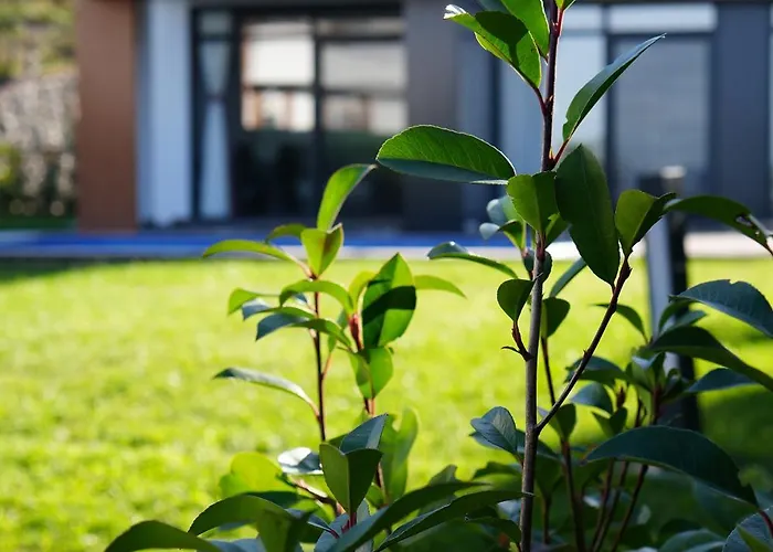 Вилла 9 Pearl Sapanca *